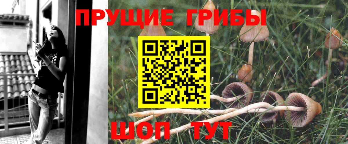 Сочи  Галлюциногенные грибы MAGIC MUSHROOMS  Галлюциногенные грибы Psilocybe  Вход с VPN 